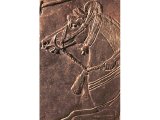 Assyrian horse with head harness. From 8th century BC relief found at Nineveh. (Louvre, Paris). Cf. Psalms 32:9.